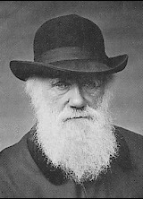 Darwin üzenete a 21. századnak